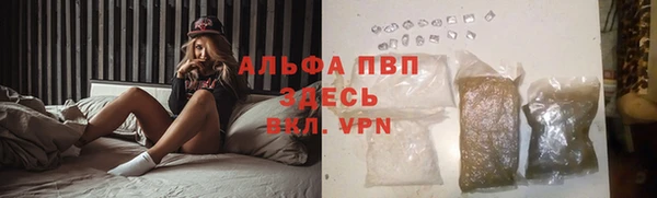 винт Аркадак