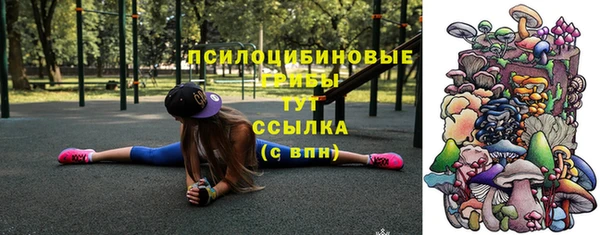 индика Переславль-Залесский