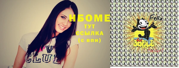 гашик Балахна