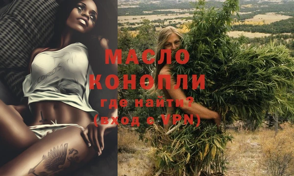 индика Переславль-Залесский