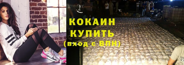 молекула духа Осташков