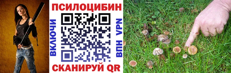 Галлюциногенные грибы Cubensis  blacksprut рабочий сайт  Оса 